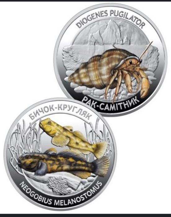 Мешканці морських глибин` у сувенірному