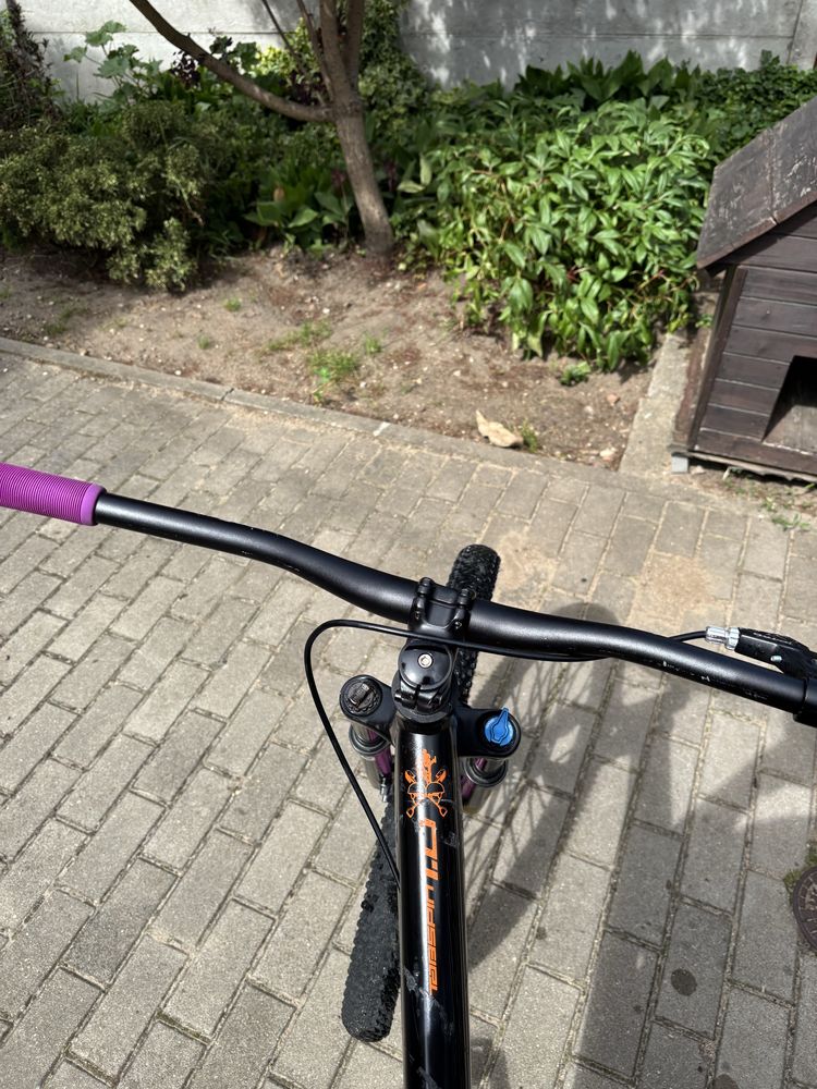 Rower Tabou Tapspin 1.0 Dirt