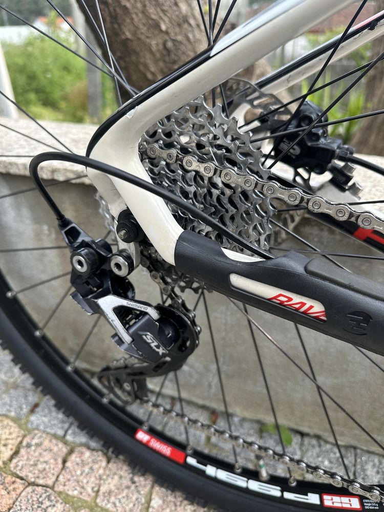 Focus 29 carbono