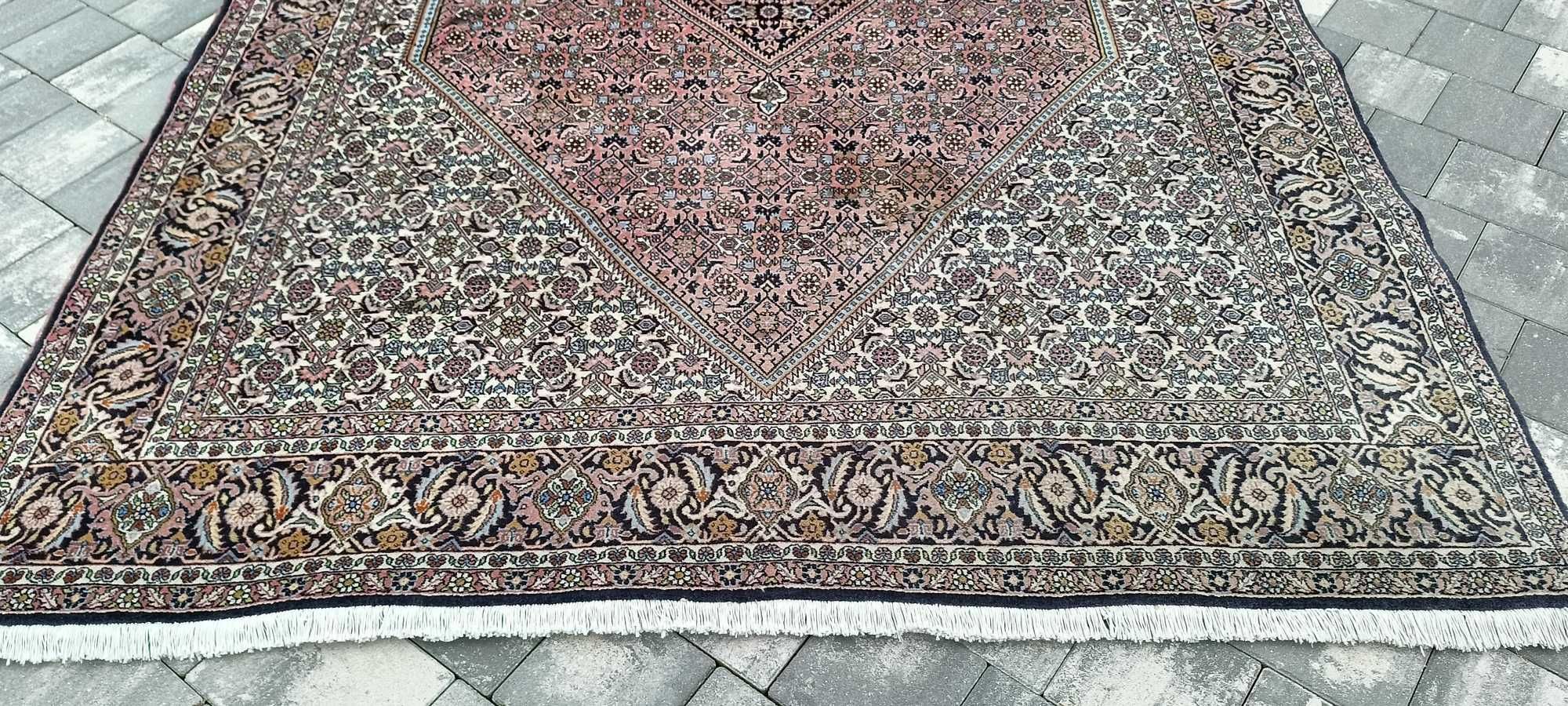 Bidjar TAKAB perski dywan wełniany 308 x 198 cm wełna z certyfikatem