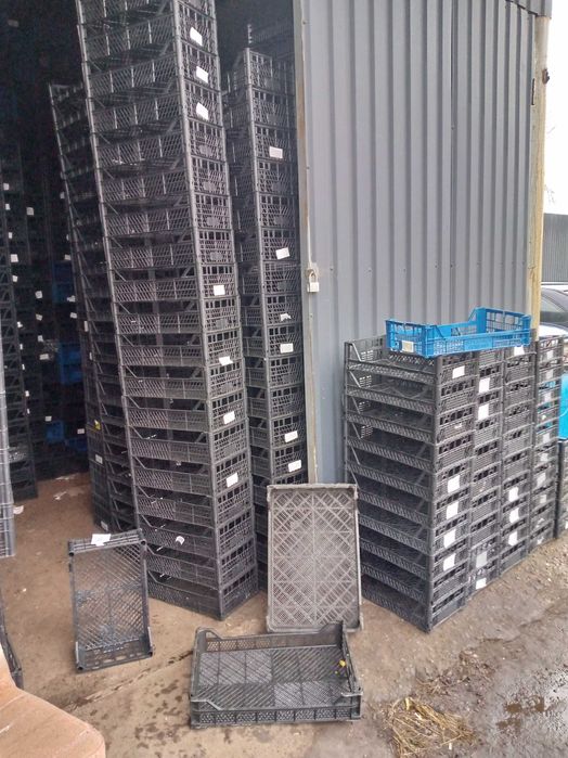 ящик пластиковый для рассады