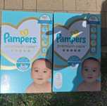 Pampersy pamperspants