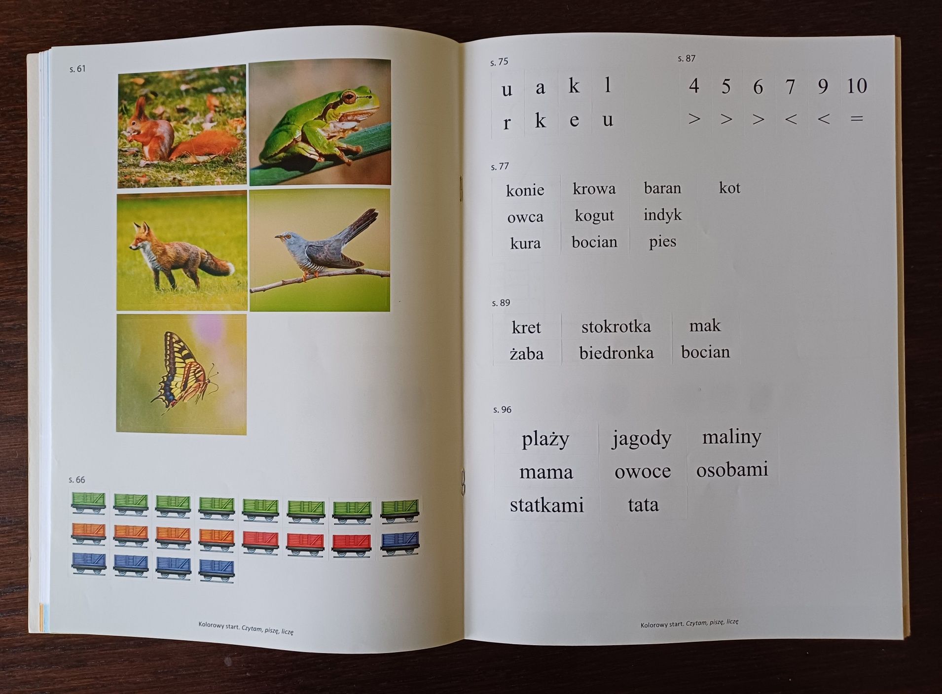 Kolorowy start z plusem, czytam, piszę, liczę. MAC