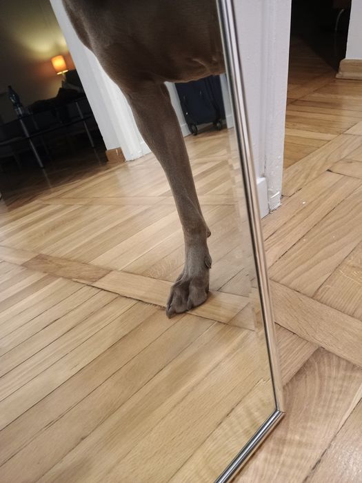 Lustro ścienne 54x56