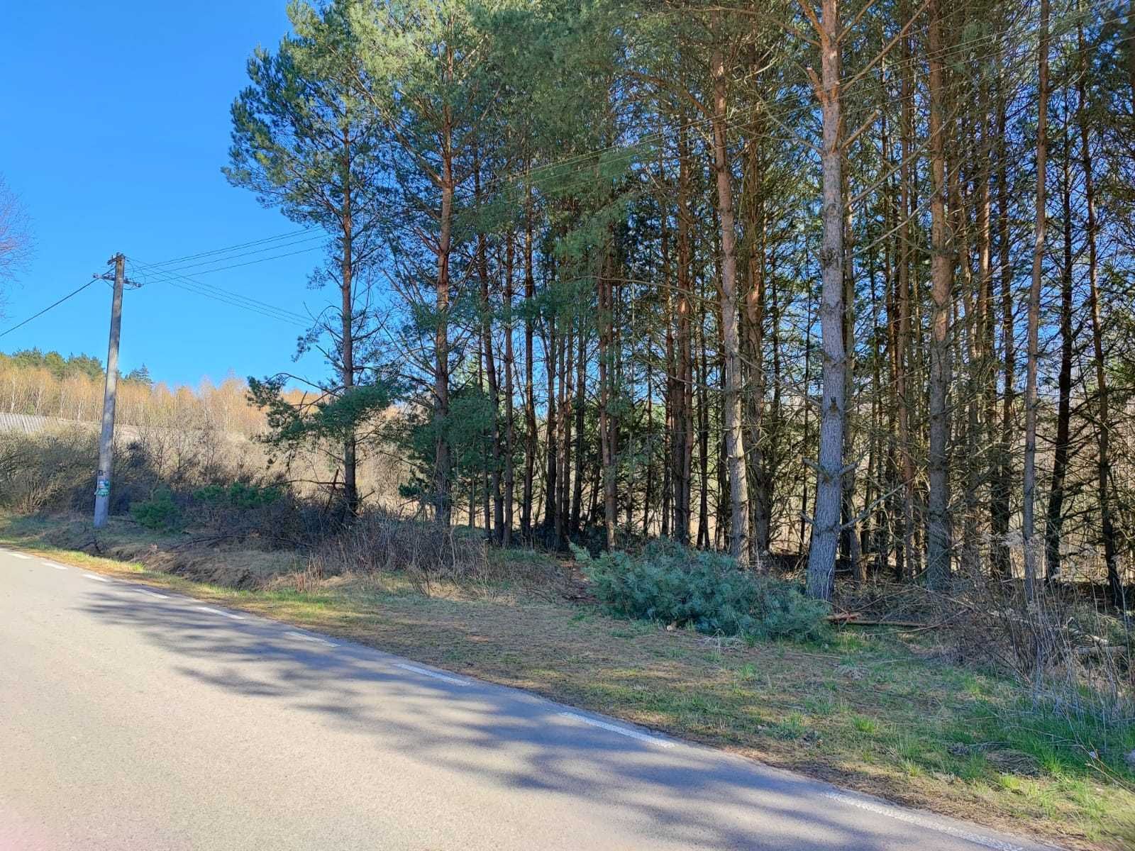 Działka o pow. 10ar, Ciechocin- okolice Modliborzyc