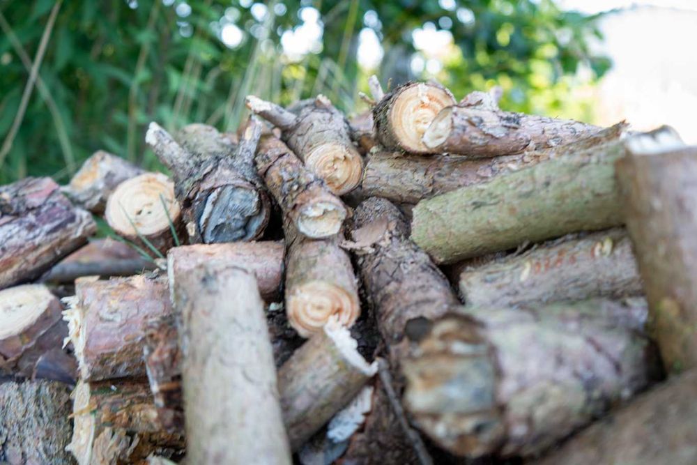 Rębak walcowy REMET R-100 === 100% POLSKA MASZYNA== rozdrabniacz