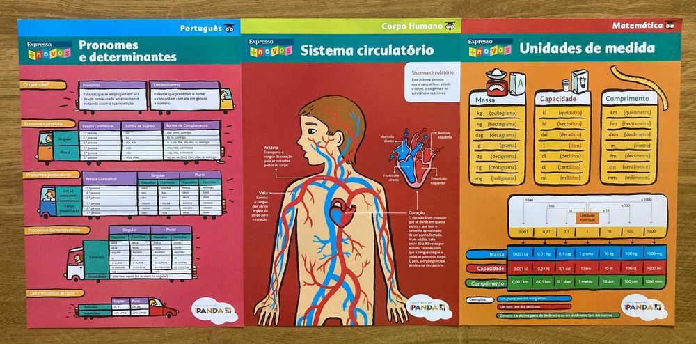 Conjunto de 15 Pósteres Escolares