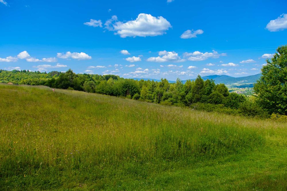 Gilowice – widokowa działka 2128 m² w Beskidzie Żywieckim