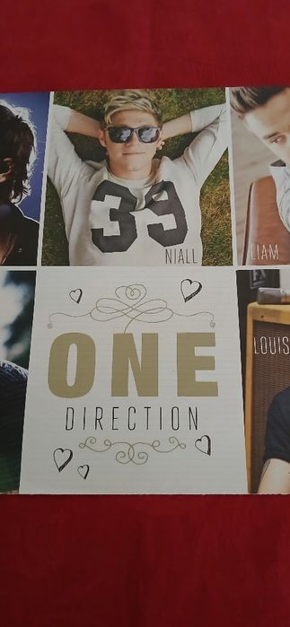 Poster One Direction/D8