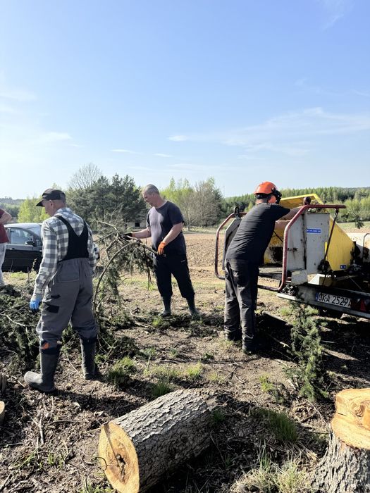 Usługi Rębakiem/Mielenie Gałęzi/Zrębkowanie/Rozdrabnianie - Stegna