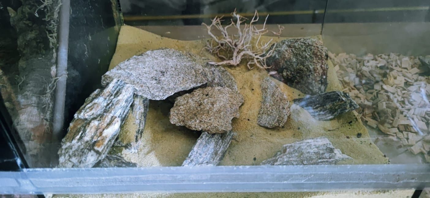 Terrarium szklane potrójne z wyposażeniem skorpion pająk 3w1