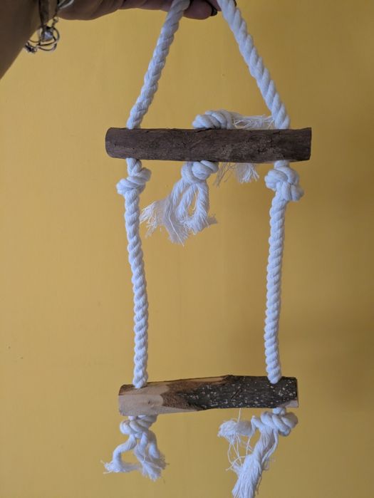 Huśtawka dla średnich papug