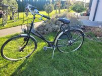 Rower Holenderski Union Sphinx 4 Biegi