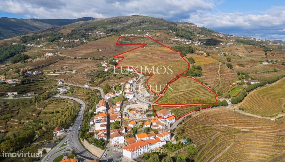 Quinta vinícola à venda em Mesão Frio na Região Demarcada, Douro V