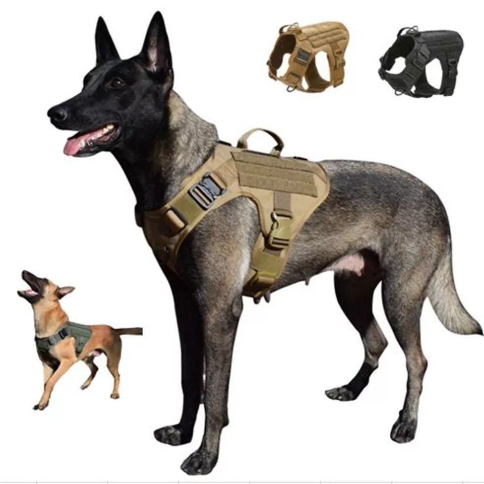 Тактический жилет для тренировки собаки (размер M)