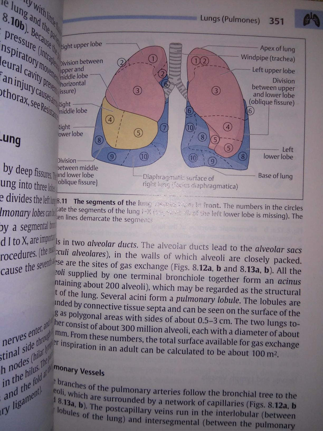 Human Body Introduction to Structure and Function Faller Schuenke 2004