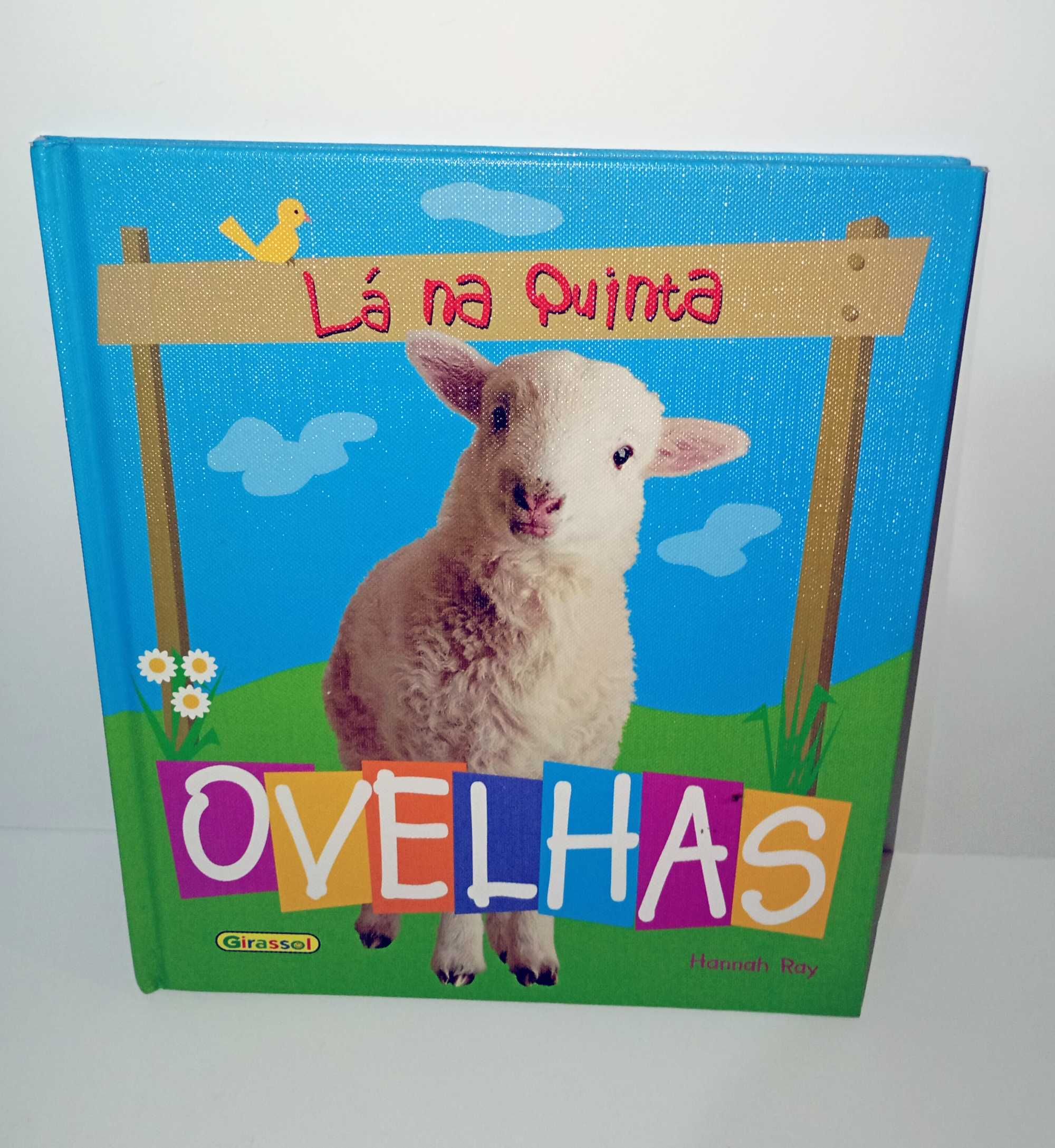 Lá na Quinta...Ovelhas