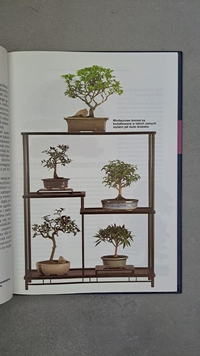 Bonsai, książka jak nowa