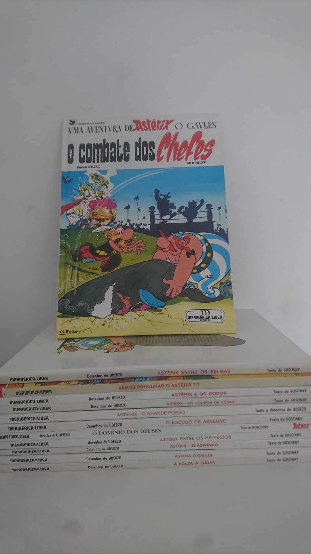 13 livros As aventuras de Asterix - Coleção antiga dos anos  90