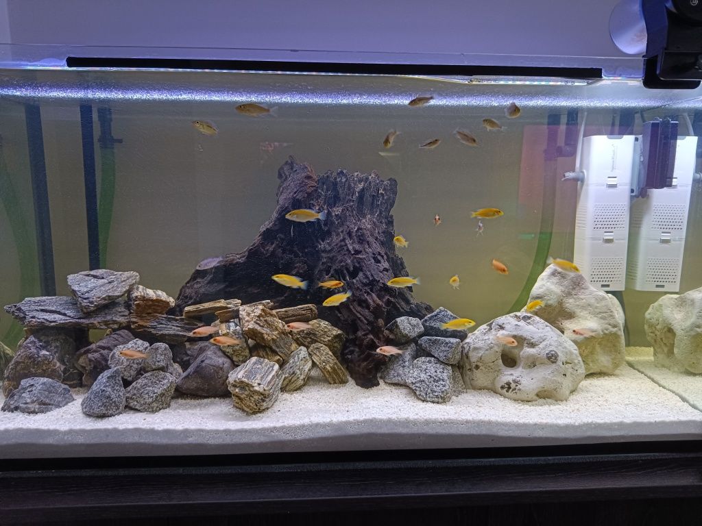 Akwarium 200l z szafką