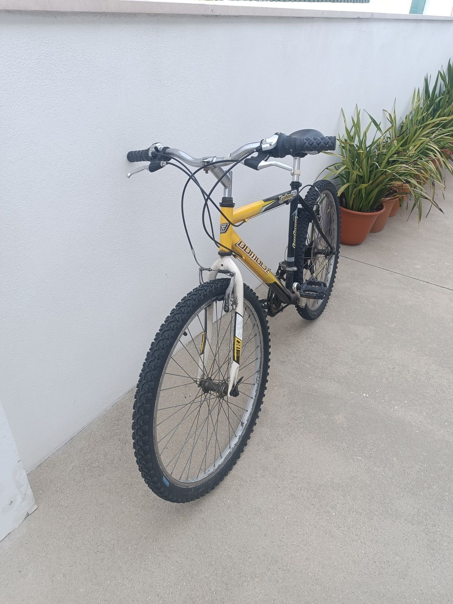 Bicicleta adulto Typhoon