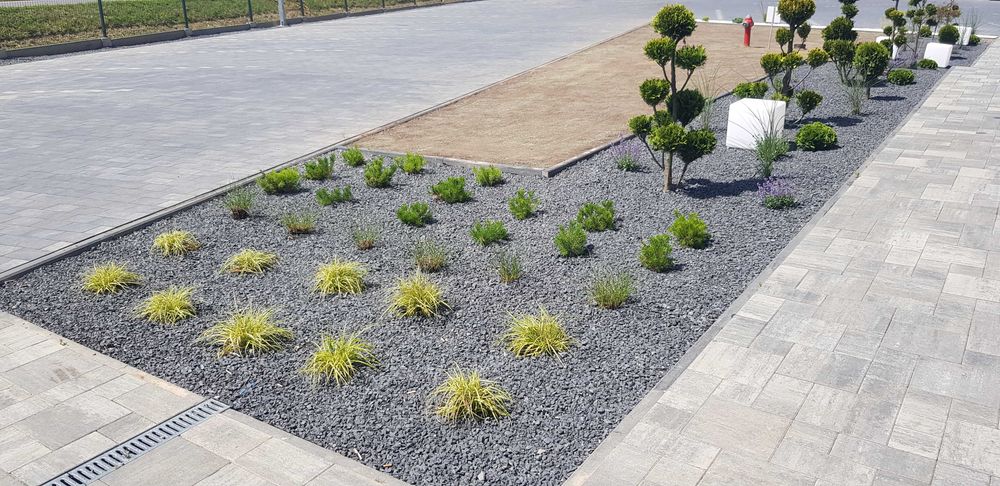 Usługi Ogrodnicze Trawniki Cięcie Przycinanie Thui Tuje