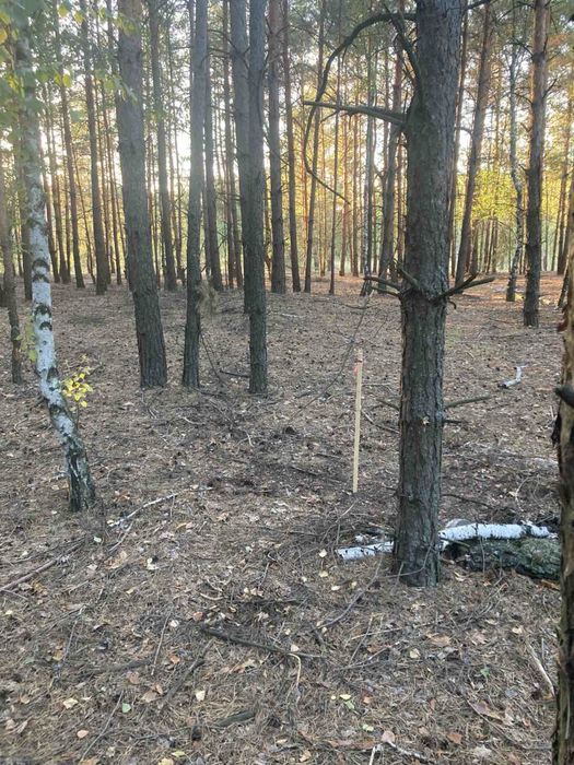 Продам земельну ділянку в с. Пірнове