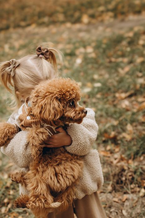 Фотораф Львів сімейні love story індивідуальні