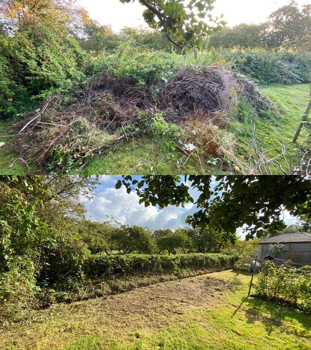 Prace Ogrodowe Sprzątanie ogrodów podcinanie / wycinka drzew