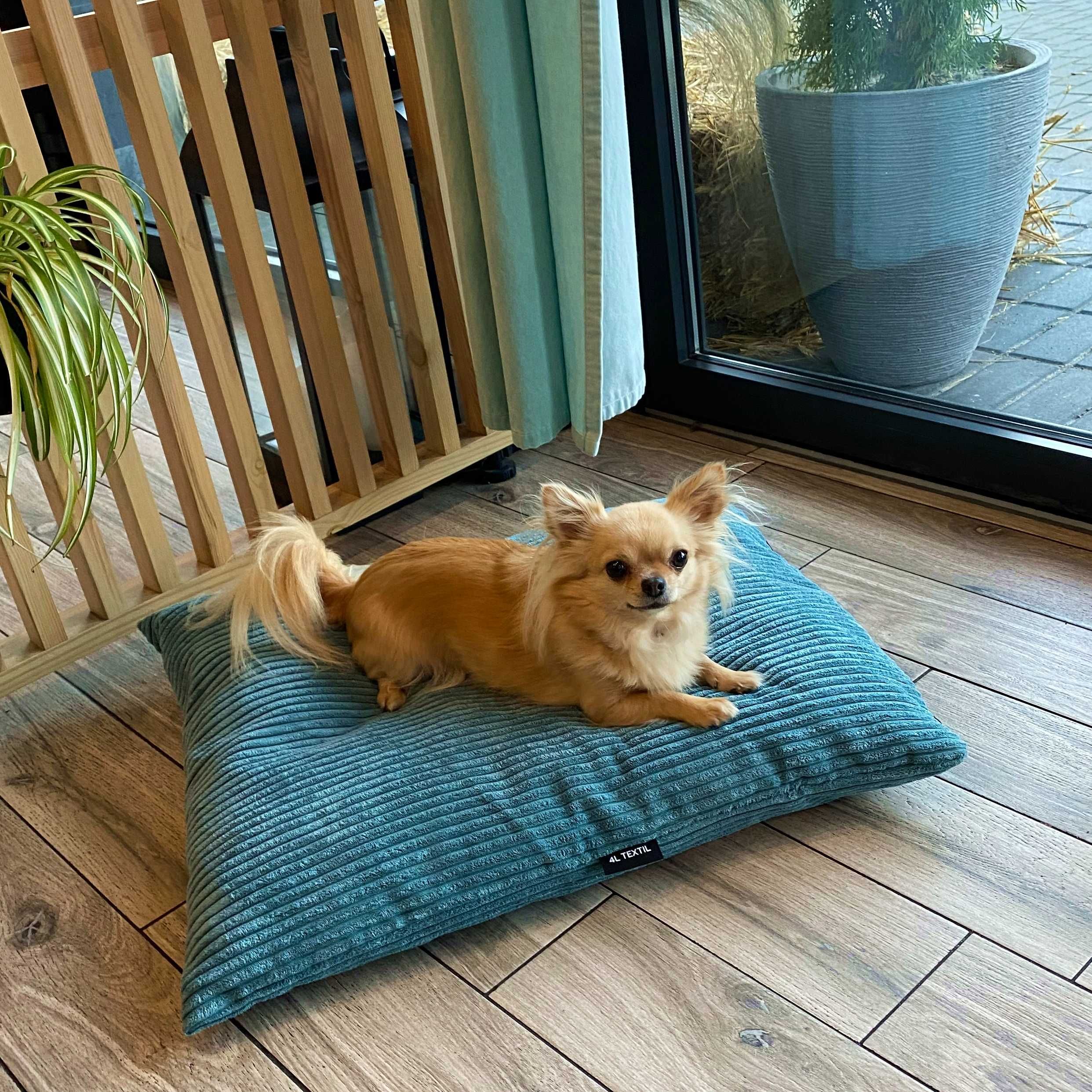 Legowisko poduszka dla psa MOLLY (80x60 cm, Turkus)