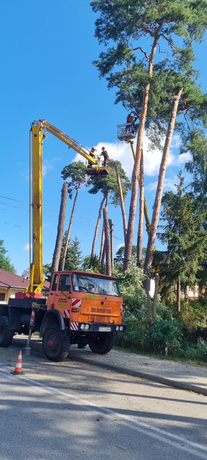 Wycinka drzew przycinka rębak Pabianice Łask Łódź Kolumna