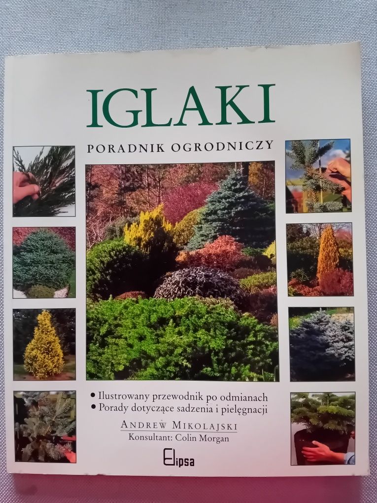 Iglaki poradnik ogrodniczy.