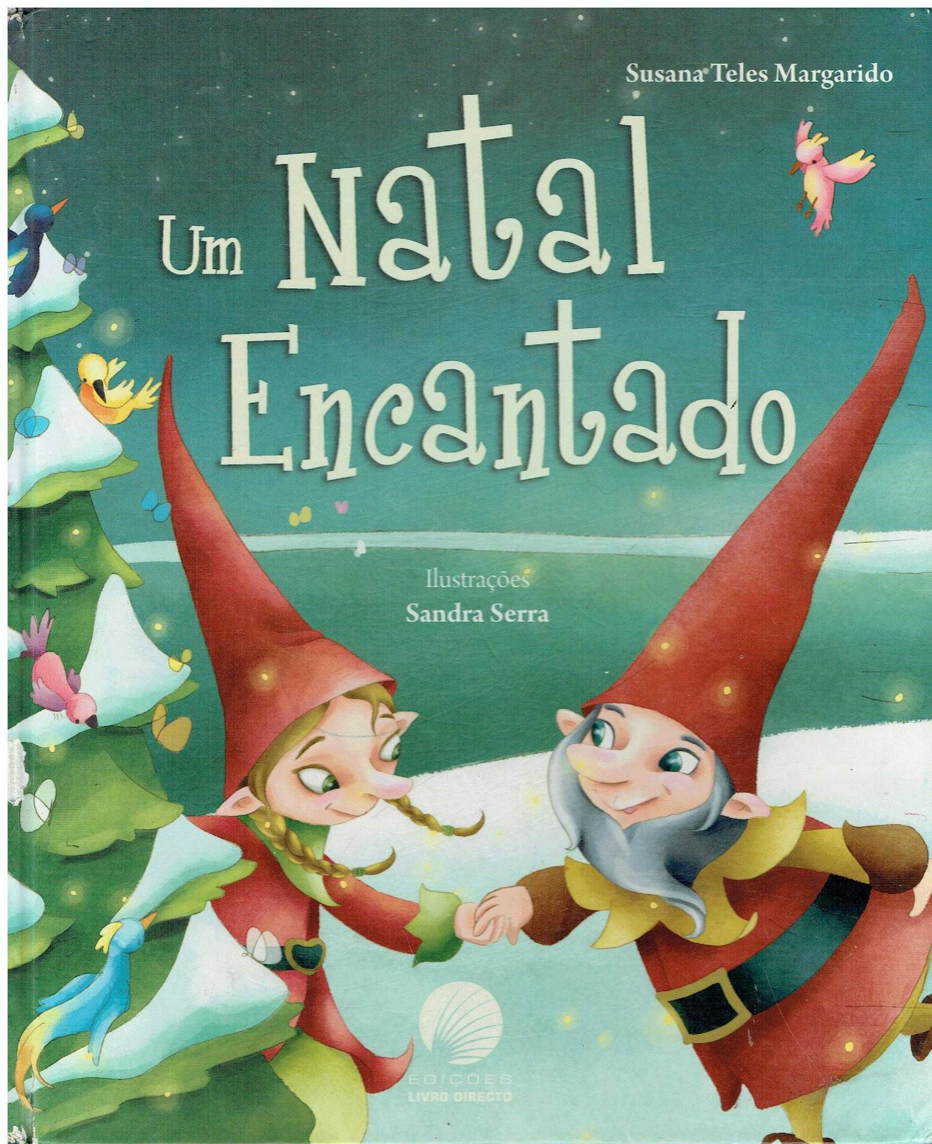 4634
	
Um Natal encantado  
de Susana Teles Margarido