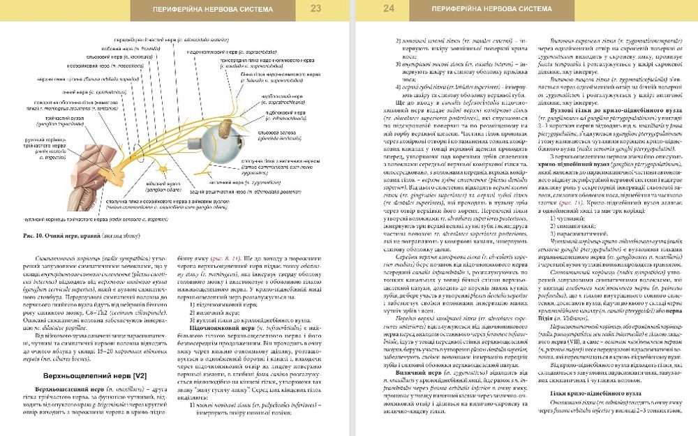 Анатомия. Нормальная. Анатомія. Нормальна. Головацький.