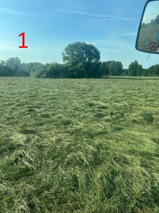 siano najtaniej od 60 duży transport ostatnie szt