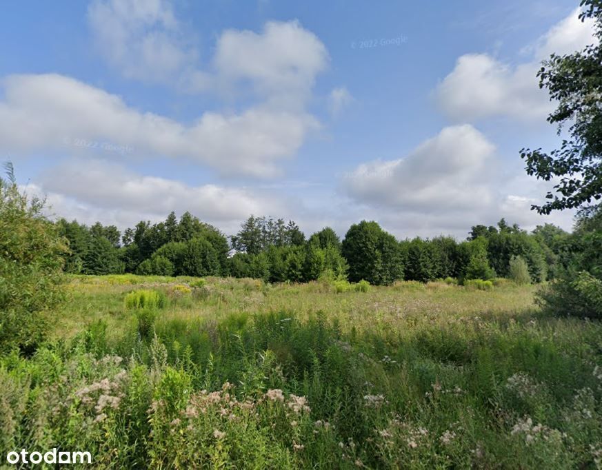 Działka 3200m. kw. Kobylnica k. Słupska