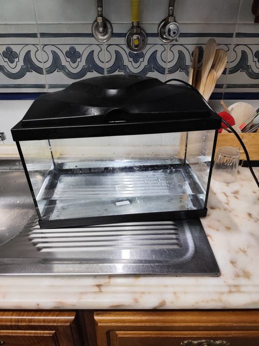 Aquário com bomba filtros corral