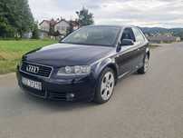 Audi A3 8p 1.9 TDI