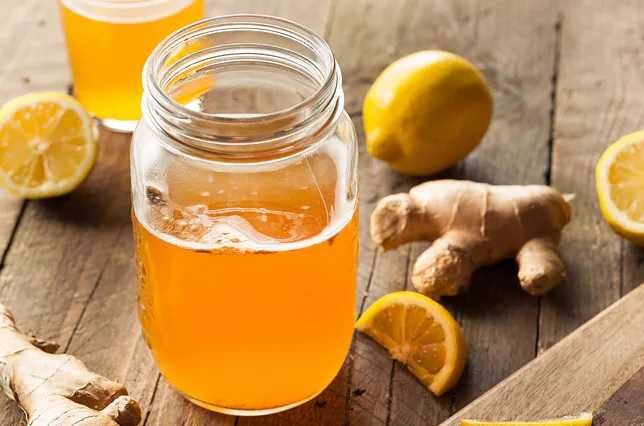 Grzybek Herbaciany 2szt Grzyb Kombucha Scoby 7cm Kombucza Starter