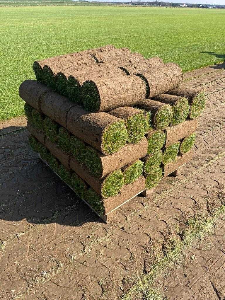 Trawa w rolce | Trawa z rolki | Dostawa na terenie całej małopolski