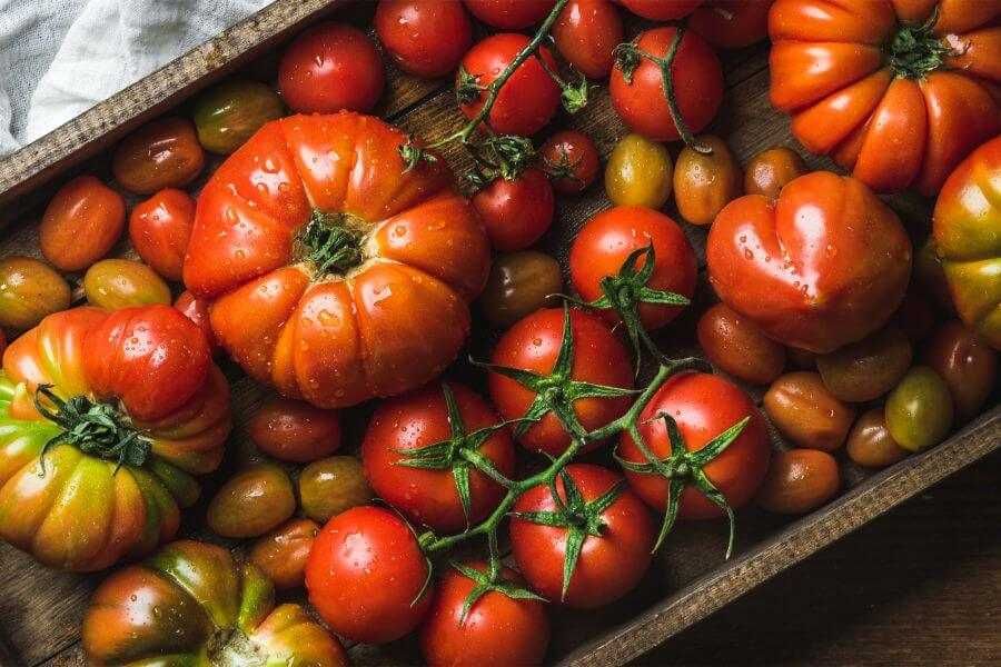 Yara Mila Complex, hydrokomplex, nawóz yara oryginalny 25 kg z dostawą