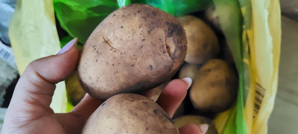 Домашні овочі - картопля, буряк, капуста, морква, цибуля