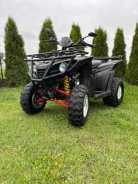 Quad Dinli Massai 300