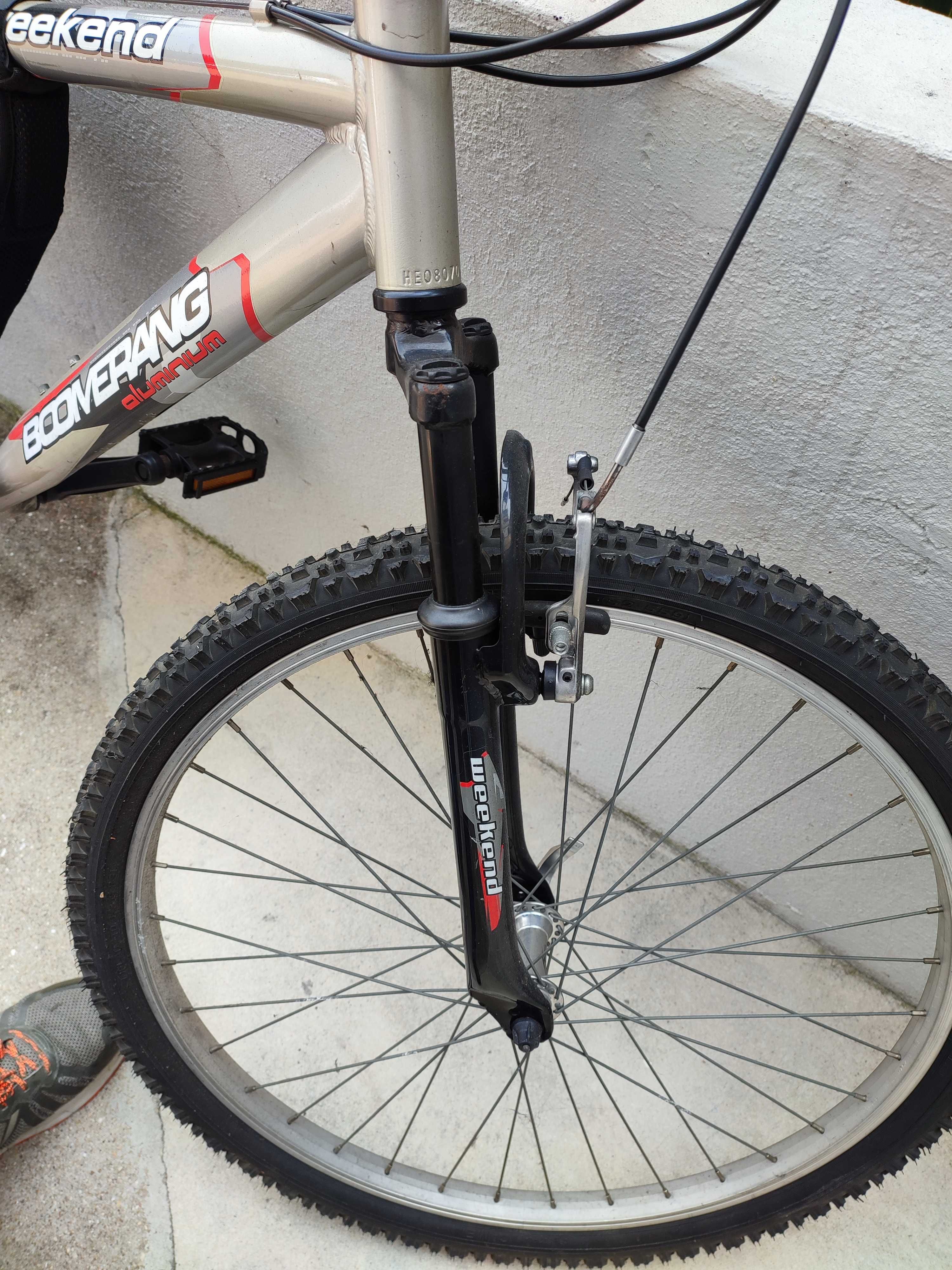 Bicicleta de adulto