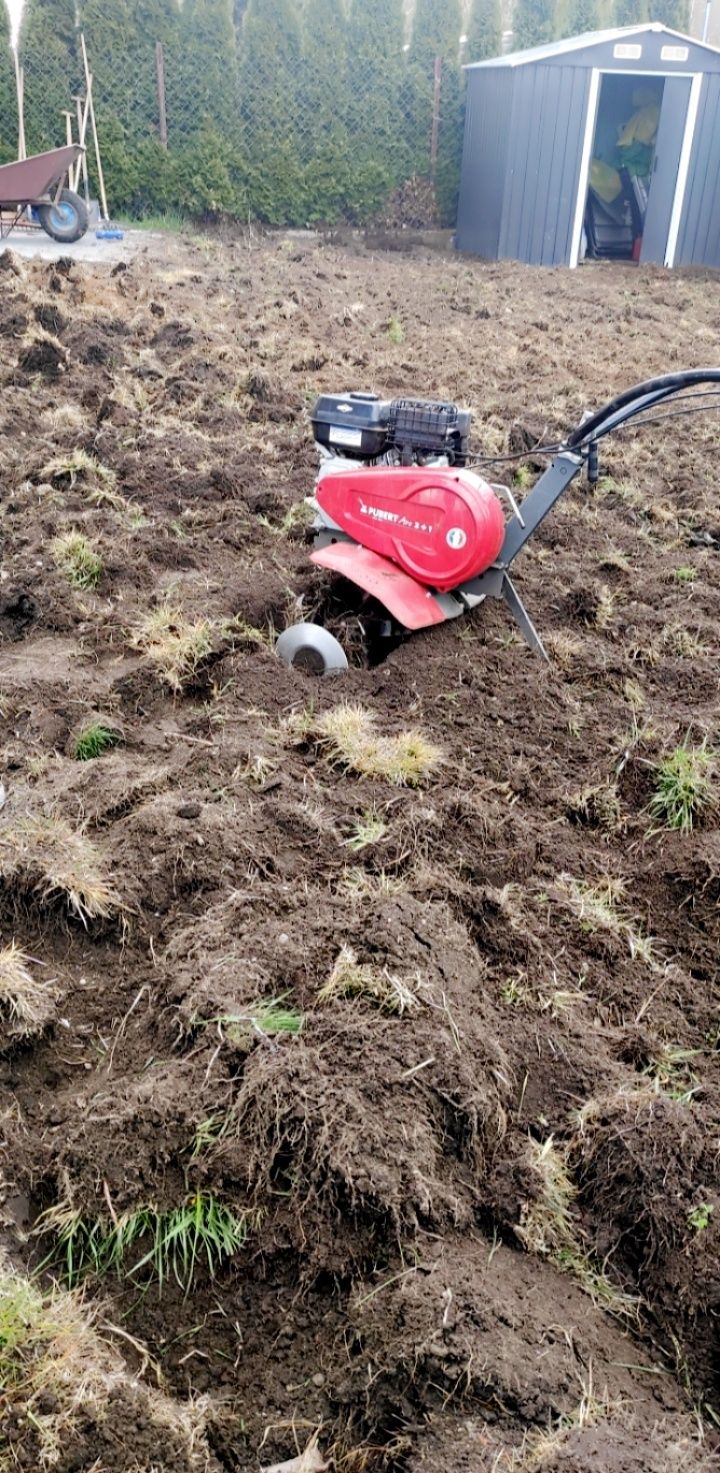Zakładanie trawników siew trawy glebogryzarka separacyjna siatka krety