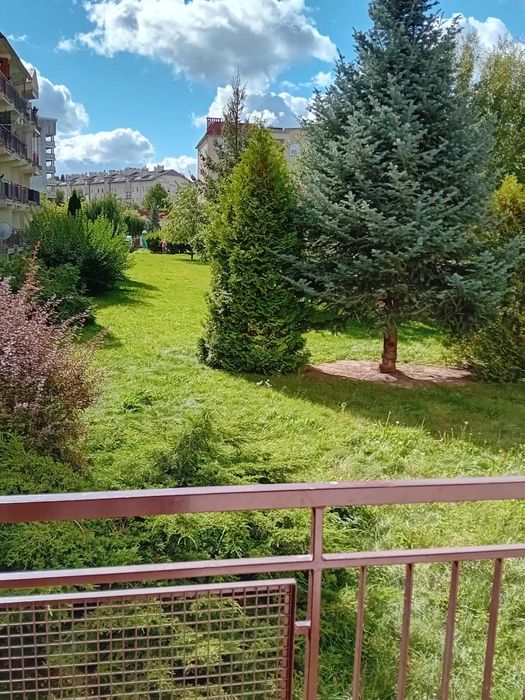 Wynajmę kawalerkę SADY