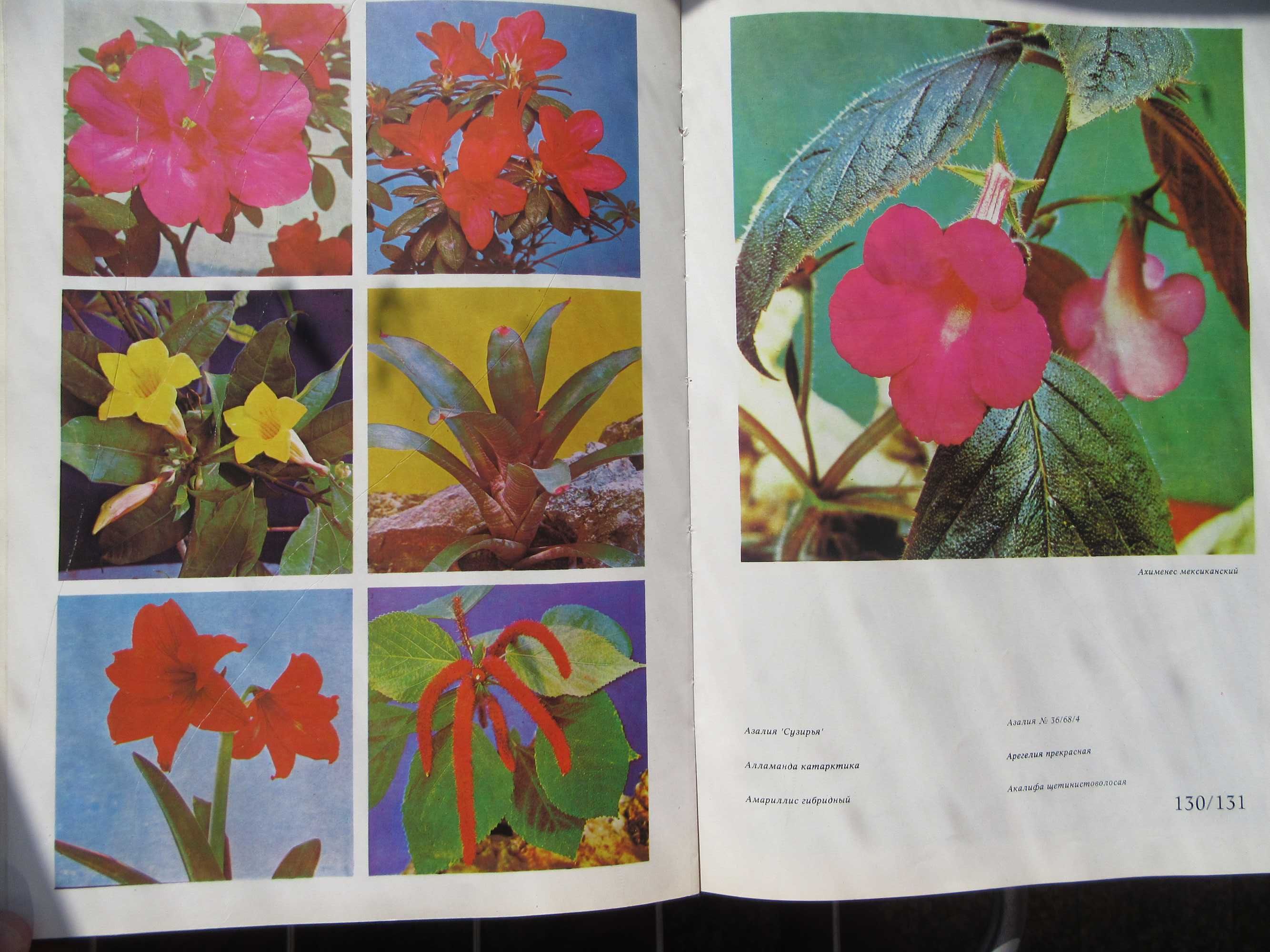 Цветы.Комнатные растения и декоративно-цветущие кустарники.1978 г.