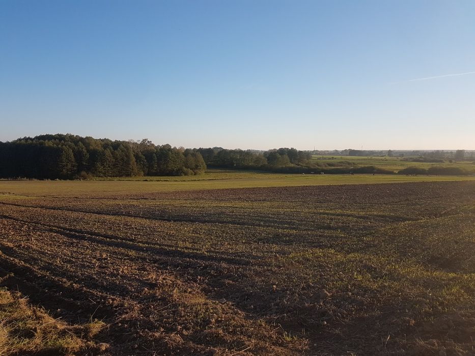 Działka siedliskowa