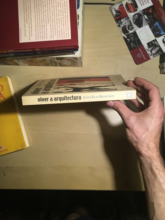 “Viver A Arquitectura” de Steen Eiler Rasmussen