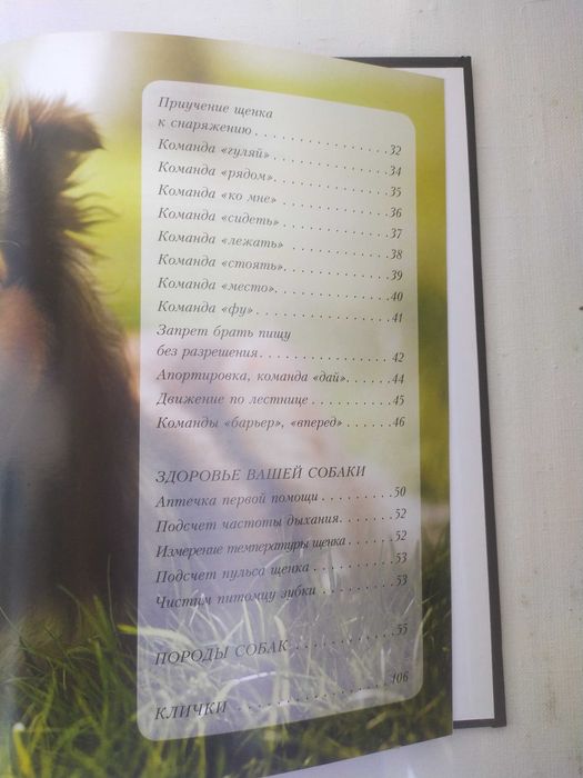 Наши  верные друзья -собаки.Книга.